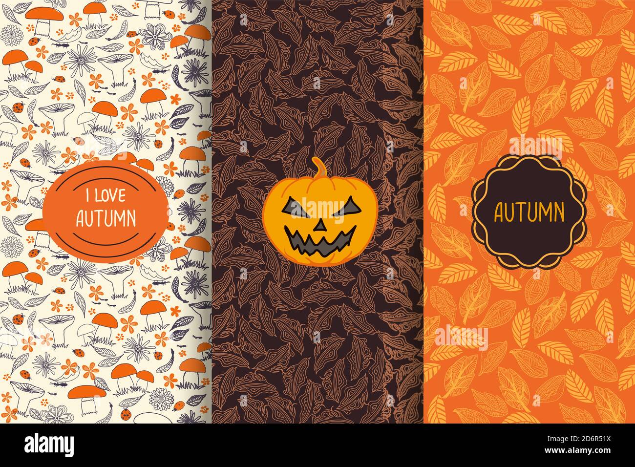 Set of Autumn seamless patterns. Floral background with Pumpkin and ...