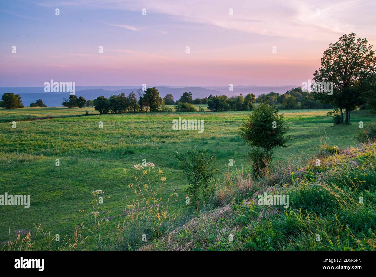 Agricultural landscape in Istria, Croatia, at nightfall. Stock Photo