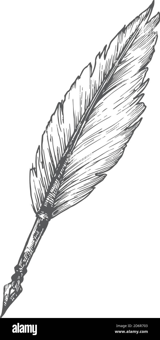 Feather Pen Hand Drawn Doodle Vector Illustration. Abstract ...