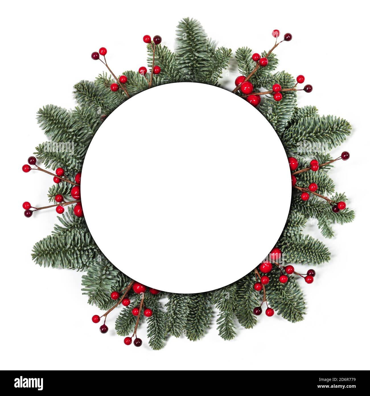 Christmas Border frame of tree branches and red berries on white ...