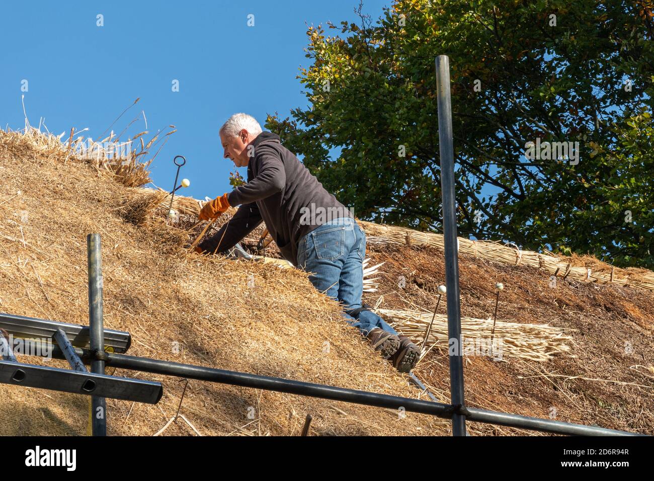 Thatcher replacing a thatched roof on a cottage, man working using traditional craft skills, UK Stock Photo