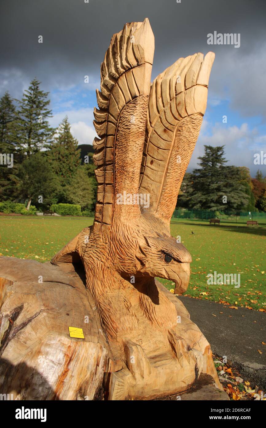 Tree stump sculpture hires stock photography and images Alamy — free download