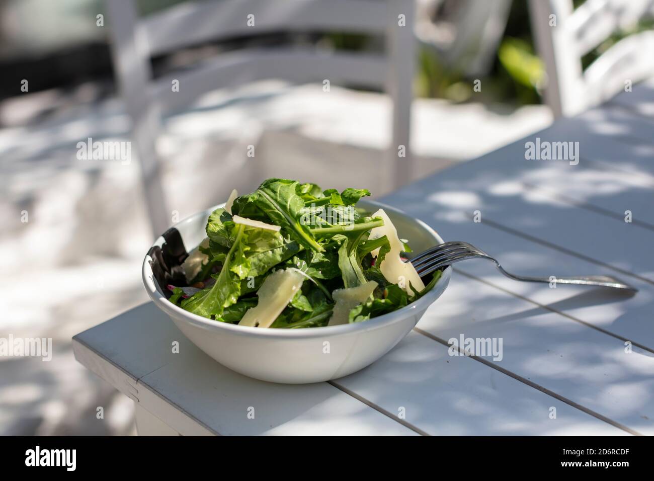 Fresh Green Salad with Cheese at Garden Stock Photo