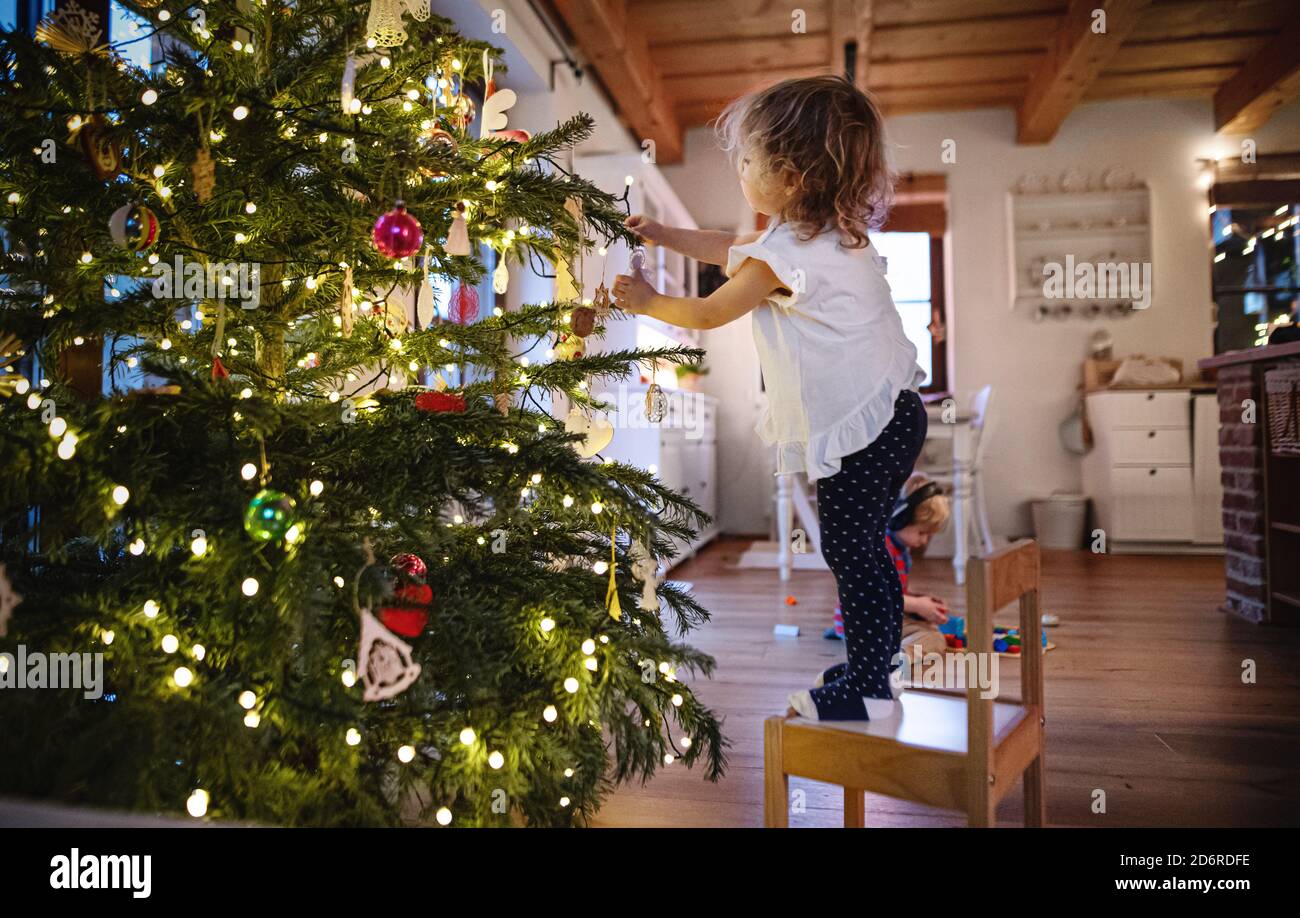 Portrait of small girl indoors at home at Christmas, decorating tree. Stock Photo