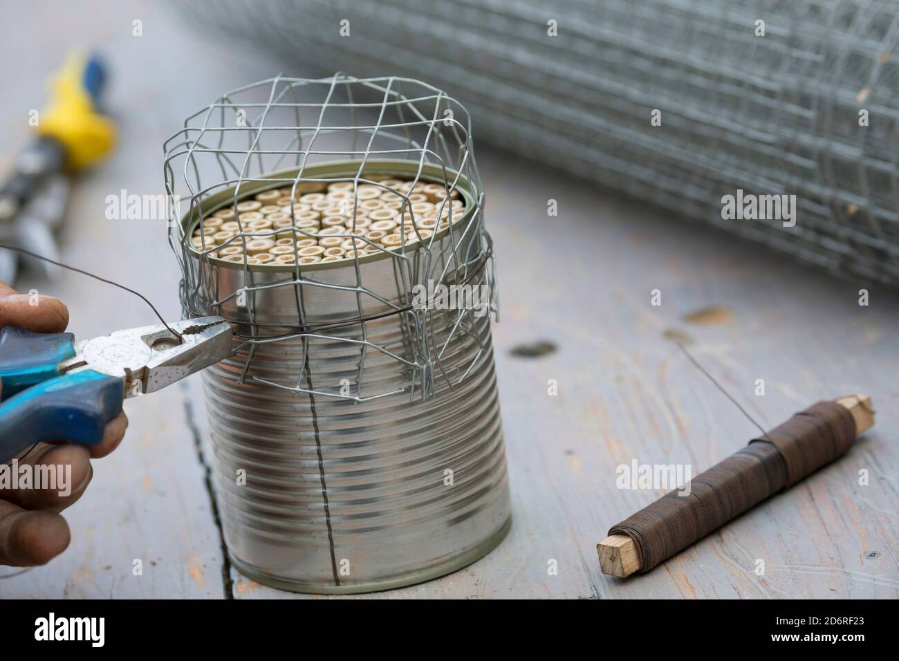 selfmade insect hotel for wild bees with bamboo stems, Germany Stock Photo