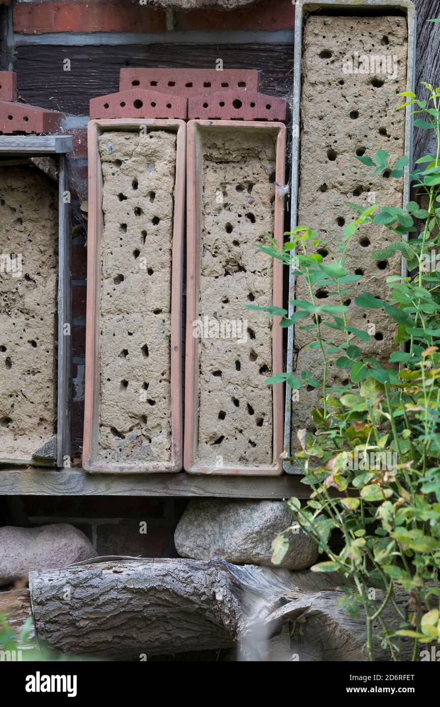 selfmade insect hotel for wild bees mede with clay, Germany Stock Photo