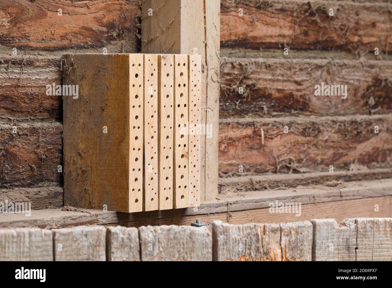 selfmade insect hotels for wild bees made with wooden boards, Germany Stock Photo