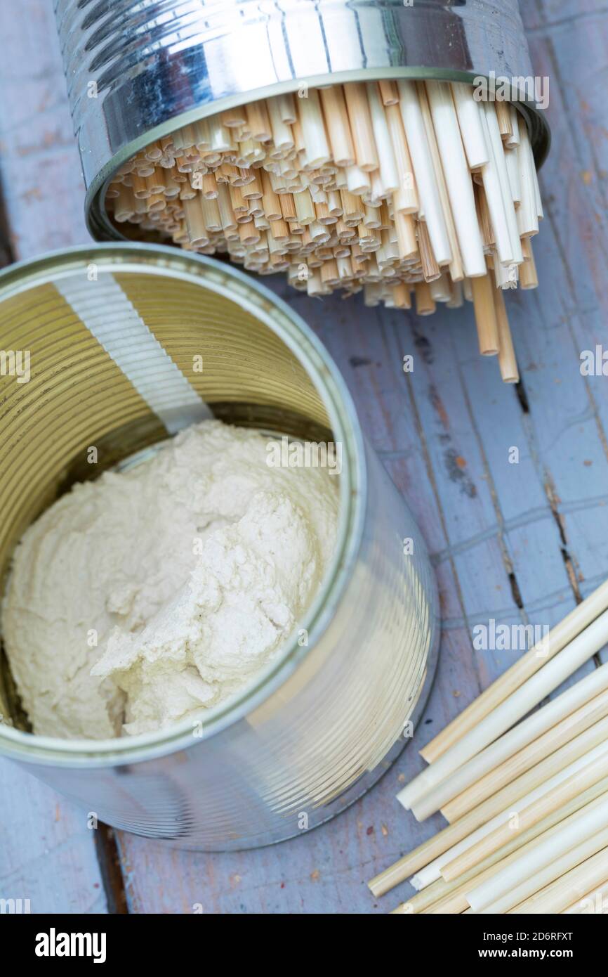 selfmade insect hotel for wild bees with straw, Germany Stock Photo