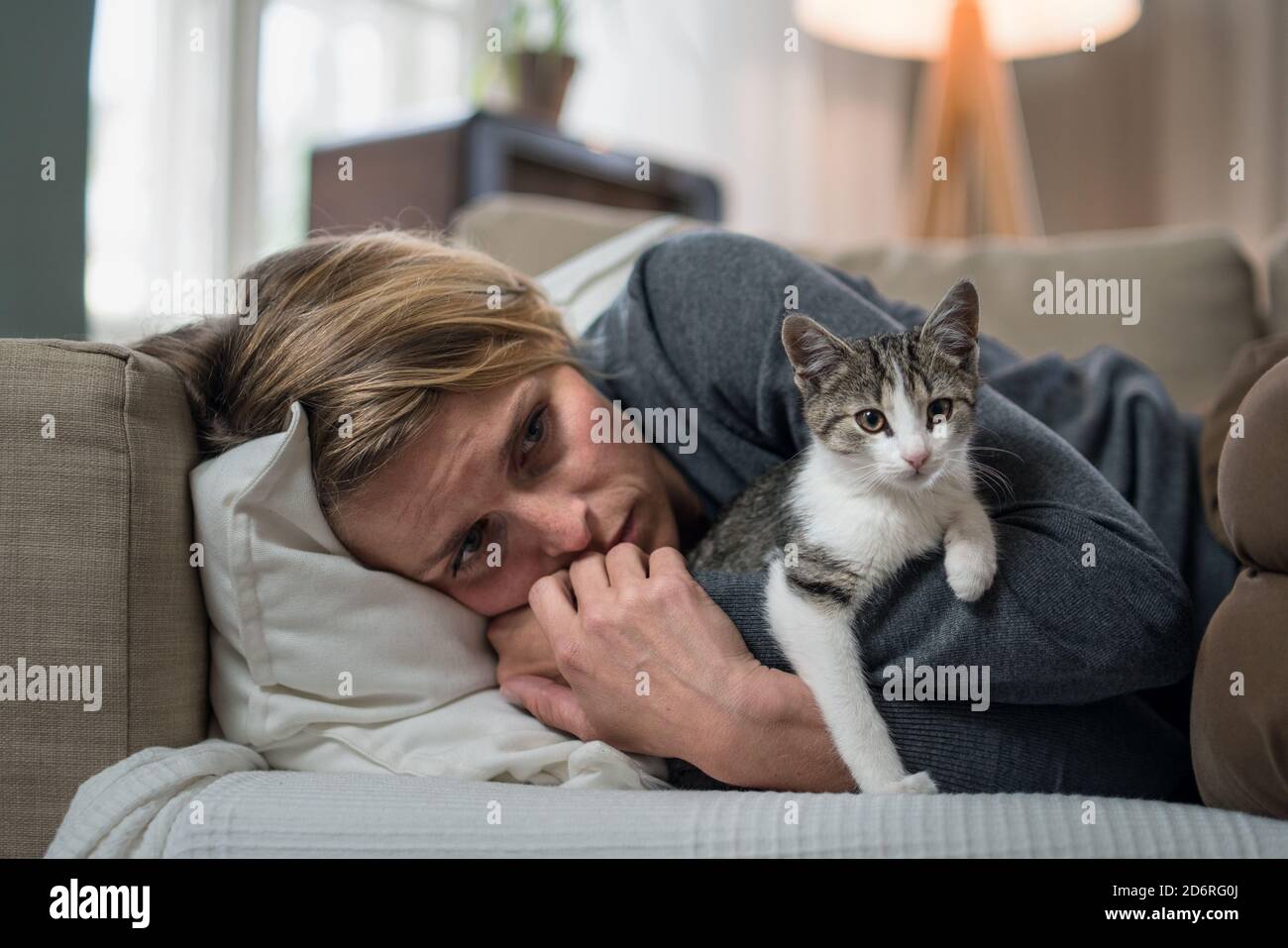 Stressed Cat High Resolution Stock Photography and Images - Alamy