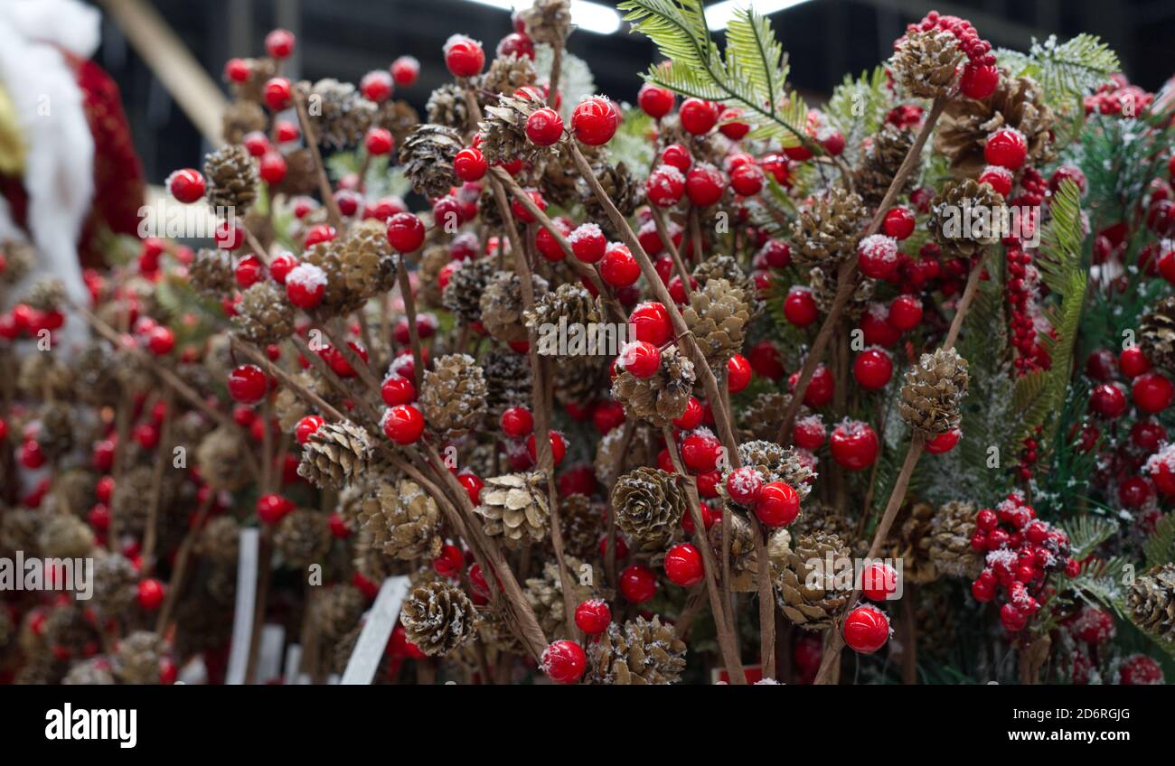 Christmas composition of red rowan and small fir cones Stock Photo