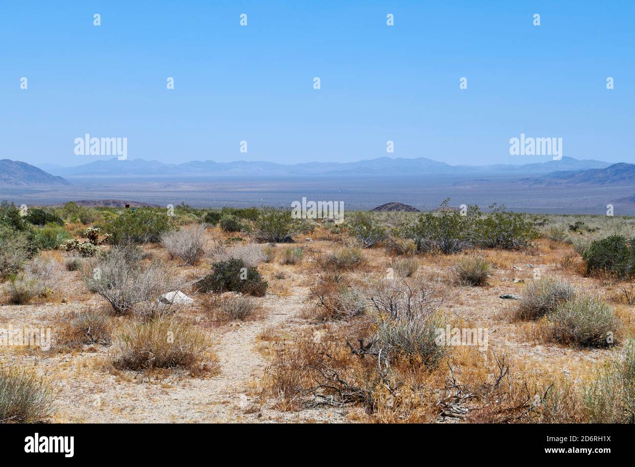 Pinto basin hi-res stock photography and images - Alamy