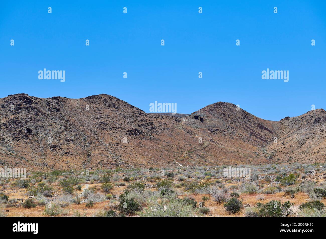 Pinto basin hi-res stock photography and images - Alamy