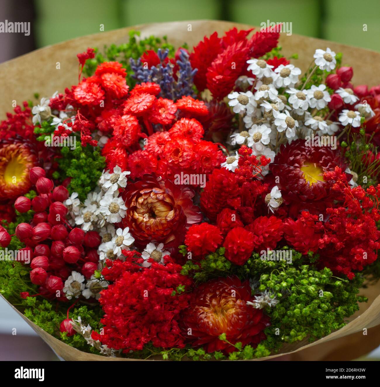 a bouquet of various wildflowers, white, red and blue flowers Stock Photo