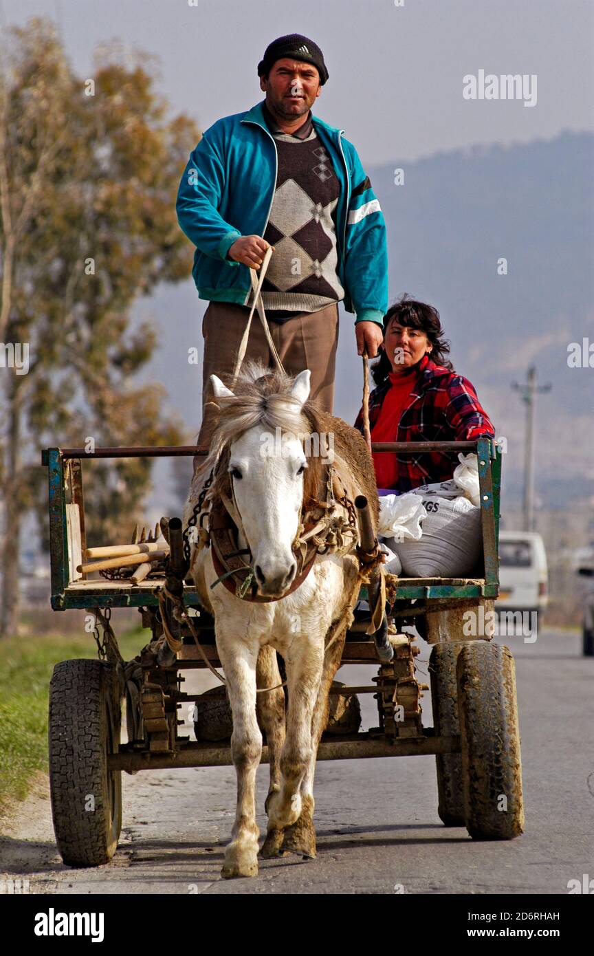 Horse and cart, Albania Stock Photo