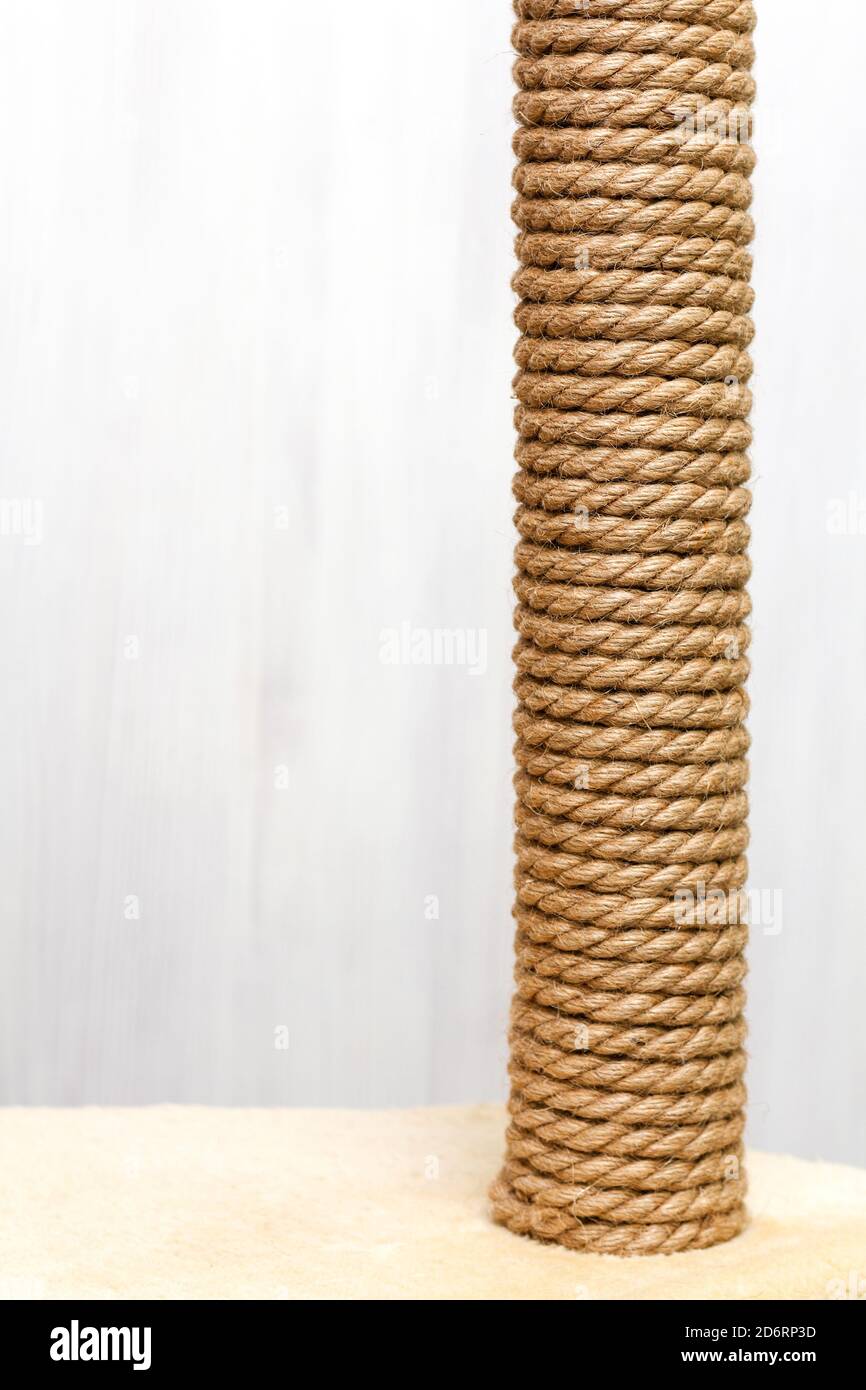 cat tree and furniture, sisal rope cat scratching post on beige carpet, copy space Stock Photo
