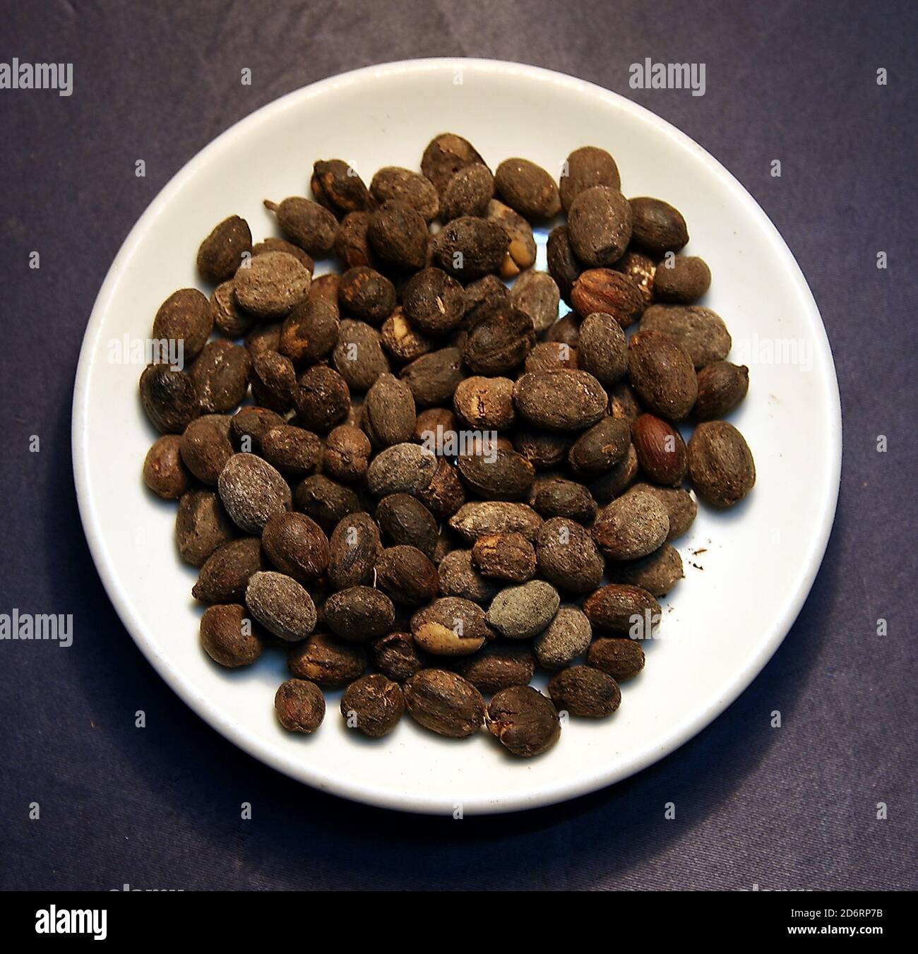 Rough roasted coffee beans from Kaffa, Ethiopia Stock Photo