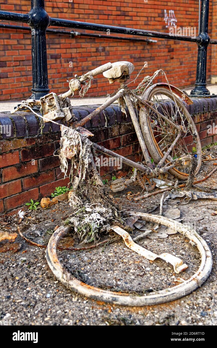 Rusty old bike new arrivals