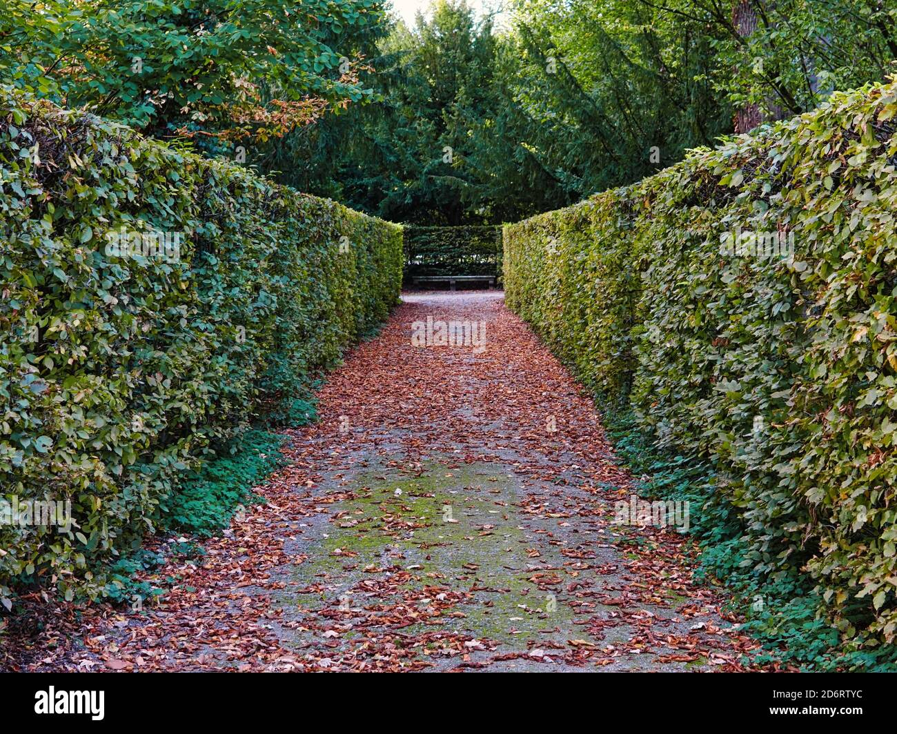 Weg zur Bank im Schlossgarten Schwetzingen Stock Photo