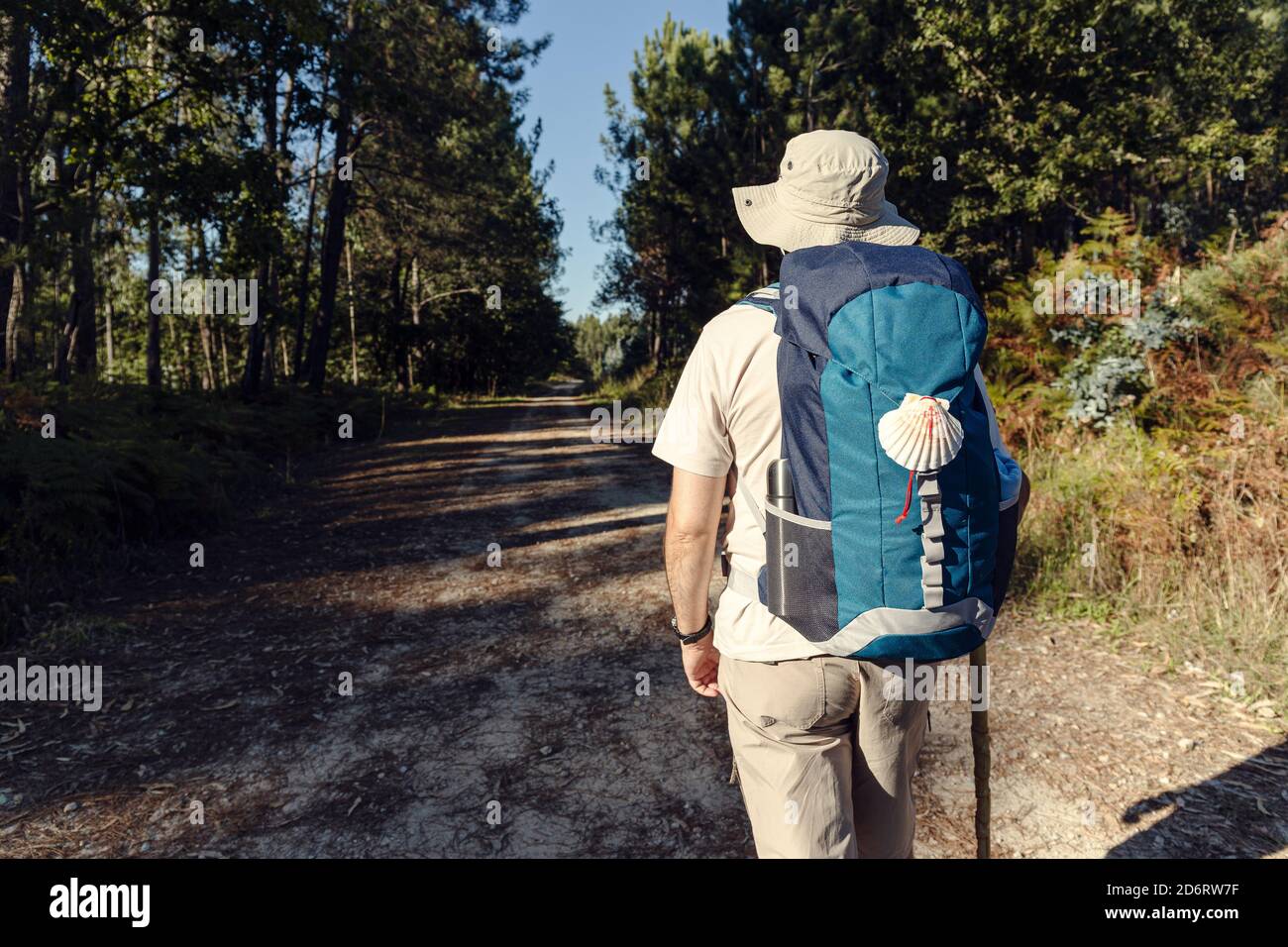 Walk With Rucksack Back view of unrecognizable male traveler with rucksack and wooden ...