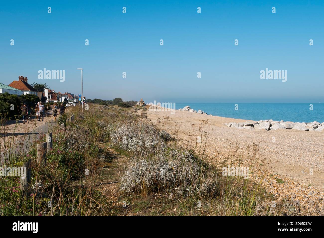 Houses along Wellington Parade looking out over the beach where people