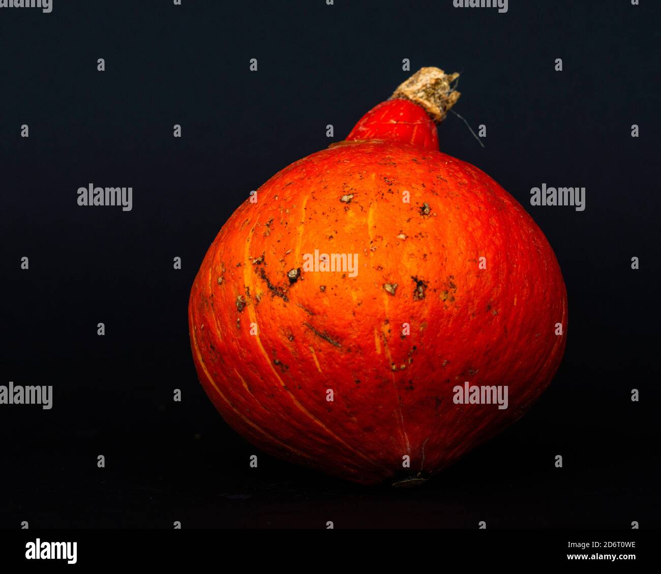 Red kuri squash Stock Photo Alamy