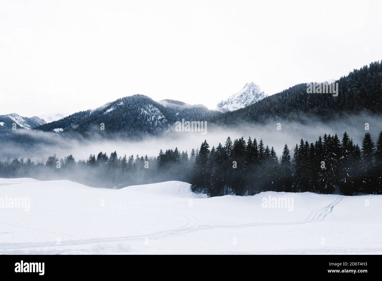 Cold winter scenery of mountain valley with dark coniferous woods and ...
