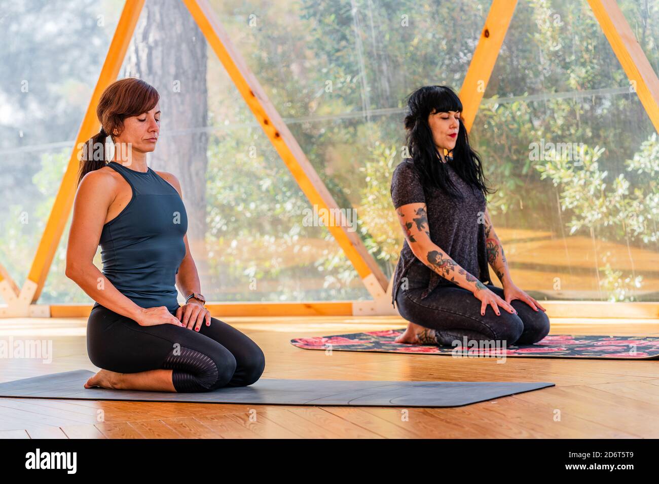 Women sitting in seiza pose on mats on parquet while practicing yoga in class with eyes closed Stock Photo