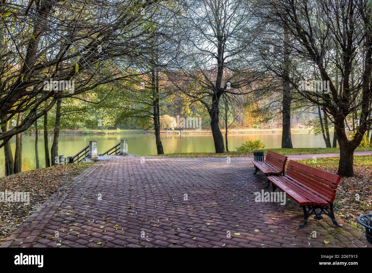 Autumn alley in a public park with colorful trees Stock Photo