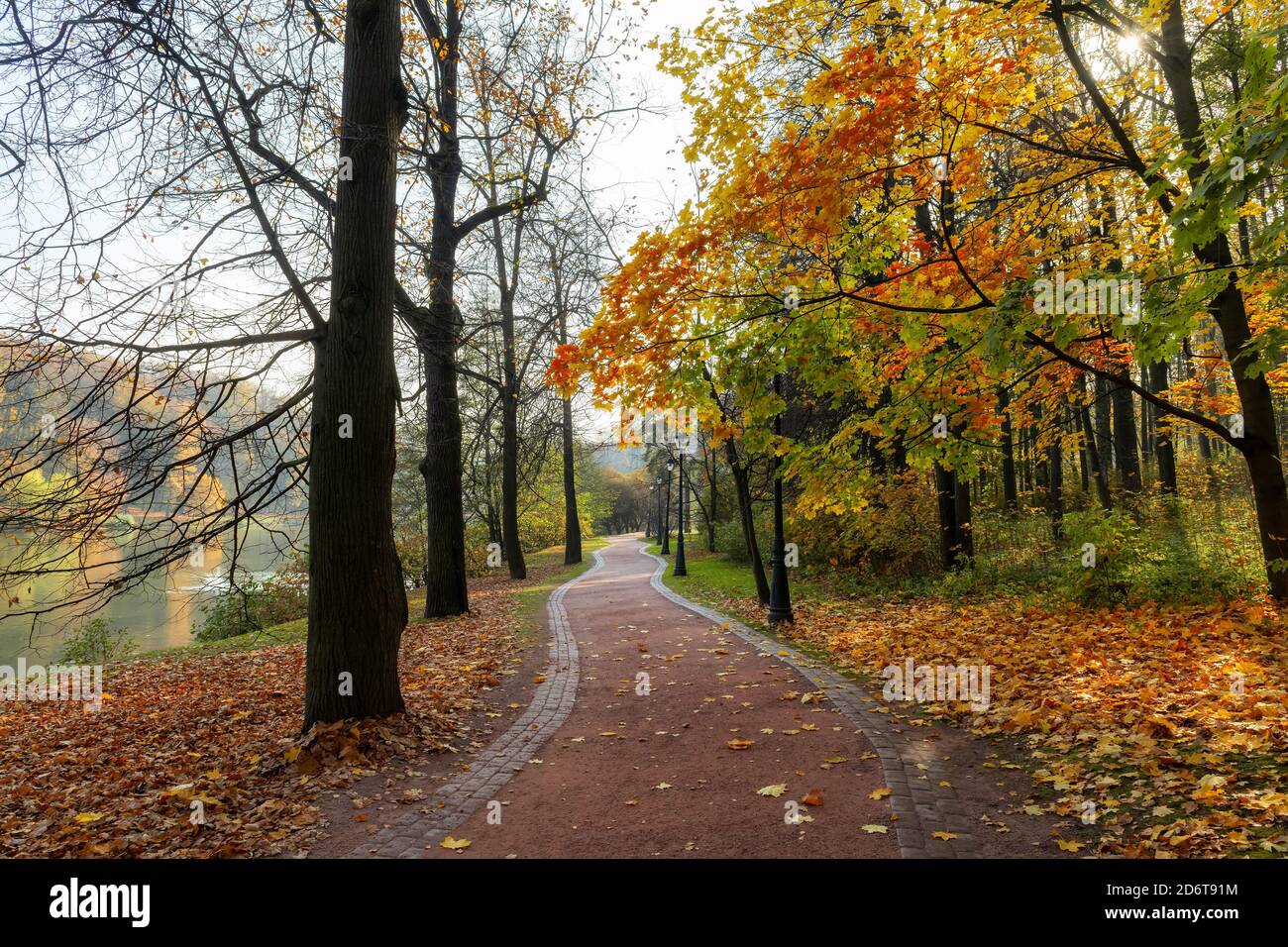 Autumn alley in a public park with colorful trees Stock Photo - Alamy