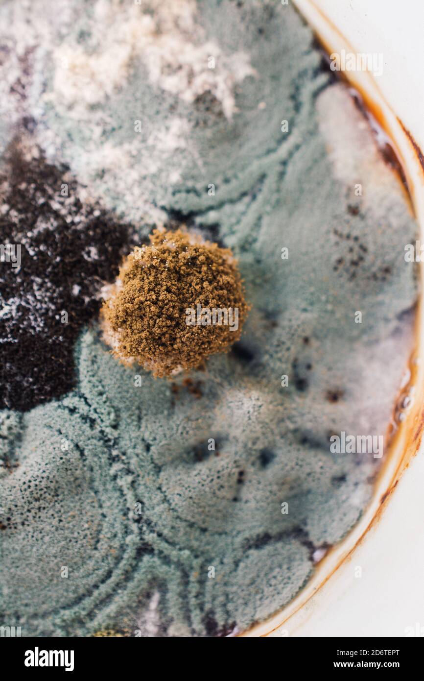 Mold on drink ın a cup.background, fungus bacteria on surface Stock