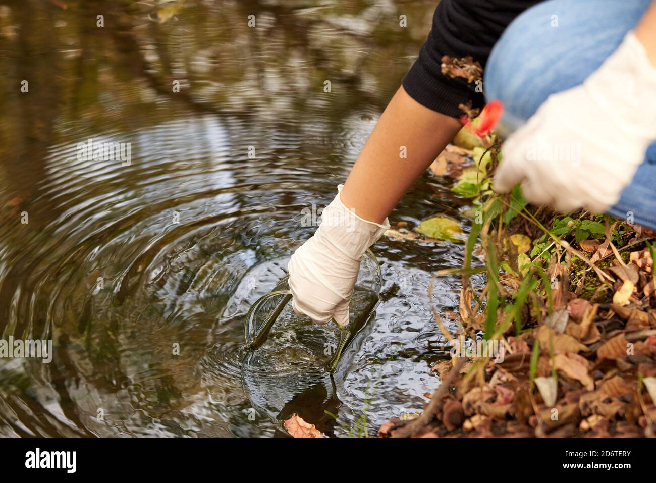 A scientist collects river water in a glass beaker for testing. Stock Photo
