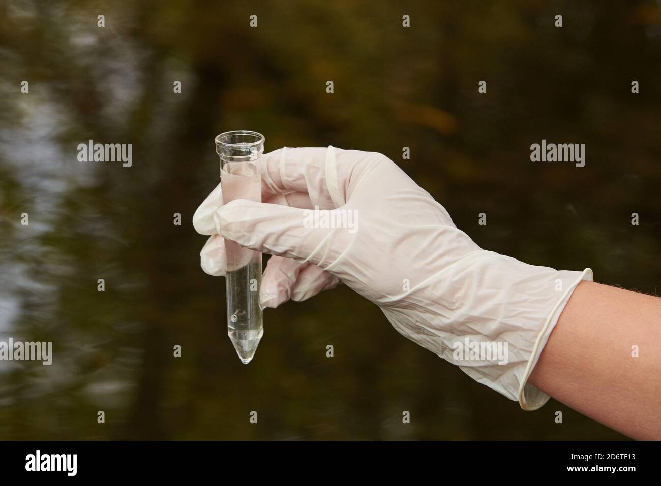 The hand of a woman scientist in a rubber glove with a glass beaker filled with water on the background of the river. Stock Photo