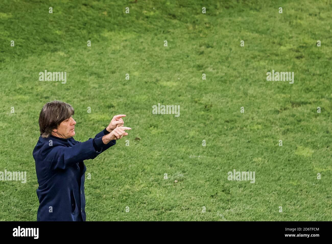 Head coach Joachim Loew (Germany) gestures, football Germany vs Susisse Stock Photo