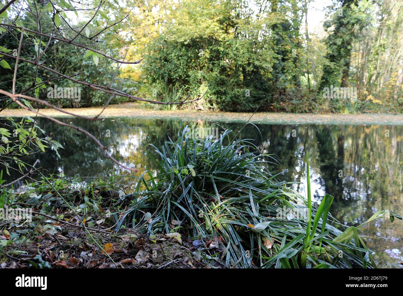 Sunny lake hi-res stock photography and images - Alamy