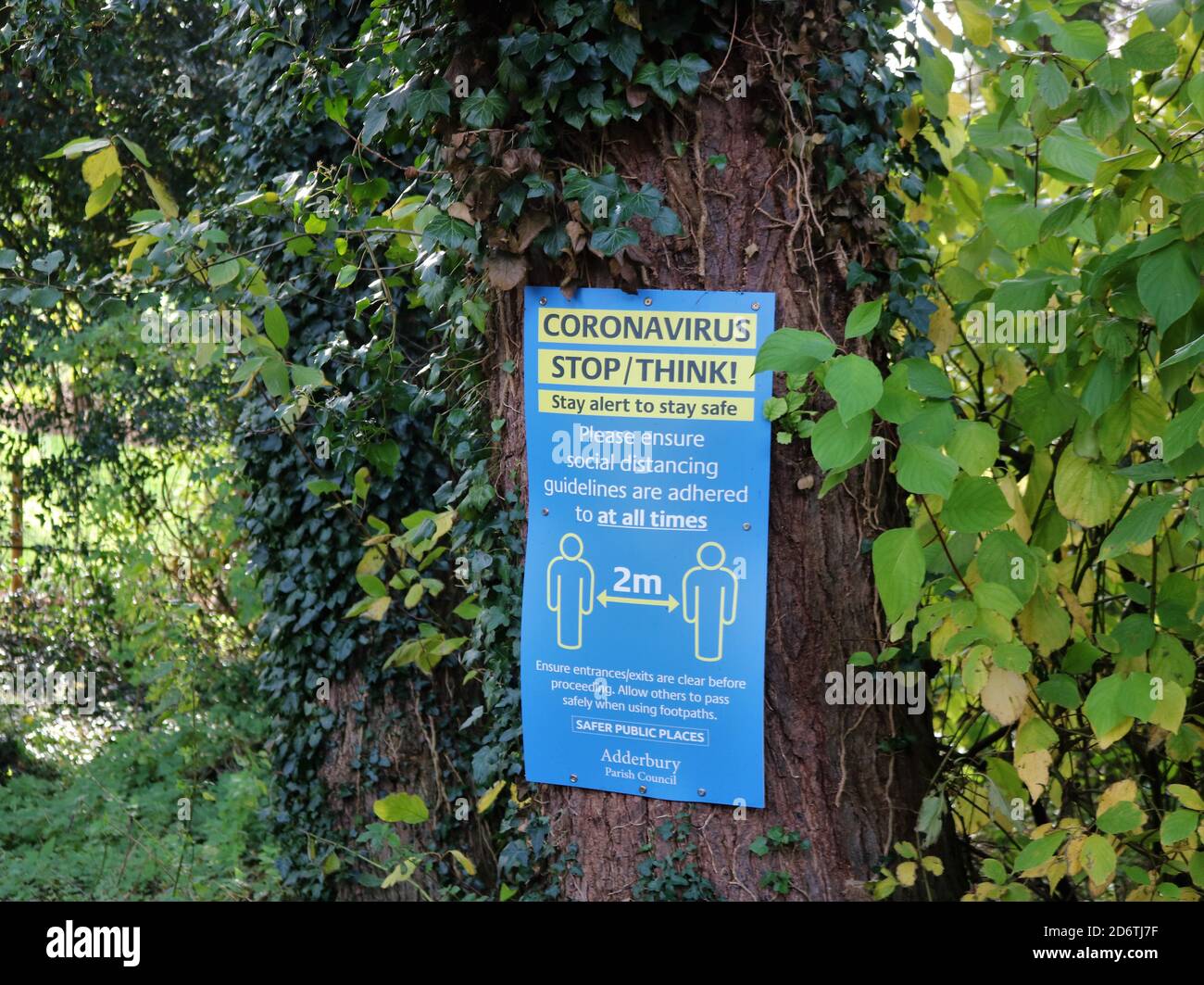 Coronavirus Stop / Think! Stay alert to stay safe - sign on tree in forest. Stock Photo