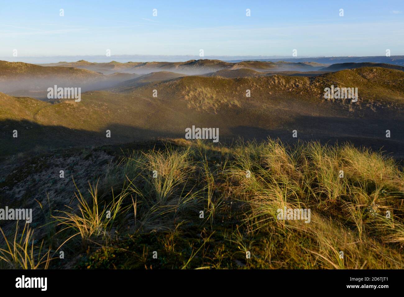The Biville dunes along the coast of Normandy, on the Cotentin Peninsula. Overview of the stretch of sand of Biville at dusk, in the mist. The site is Stock Photo