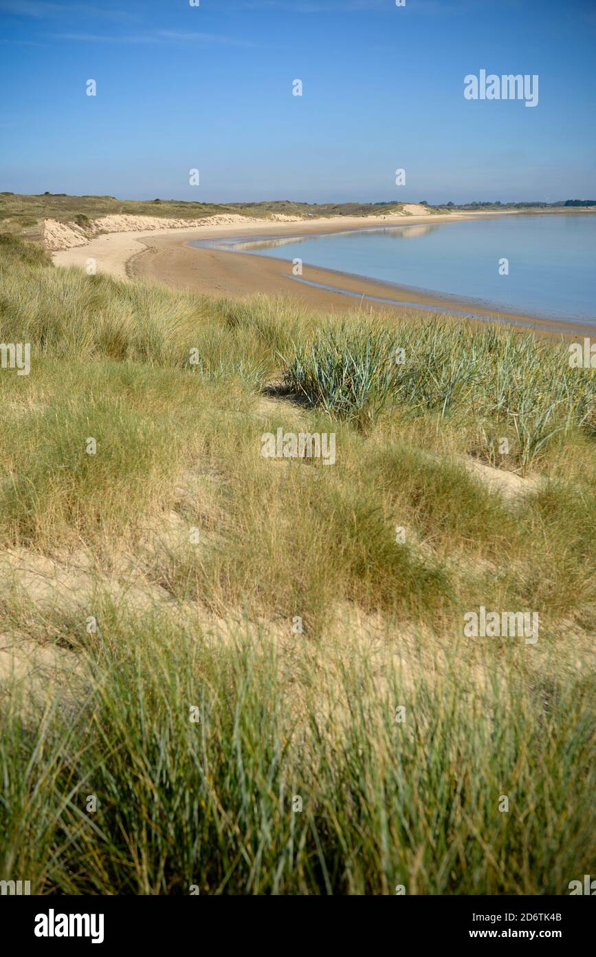 Harbour of Saint-Germain-sur-Ay (Normandy, north-western France): dune and beach, Cotentin Peninsula Stock Photo
