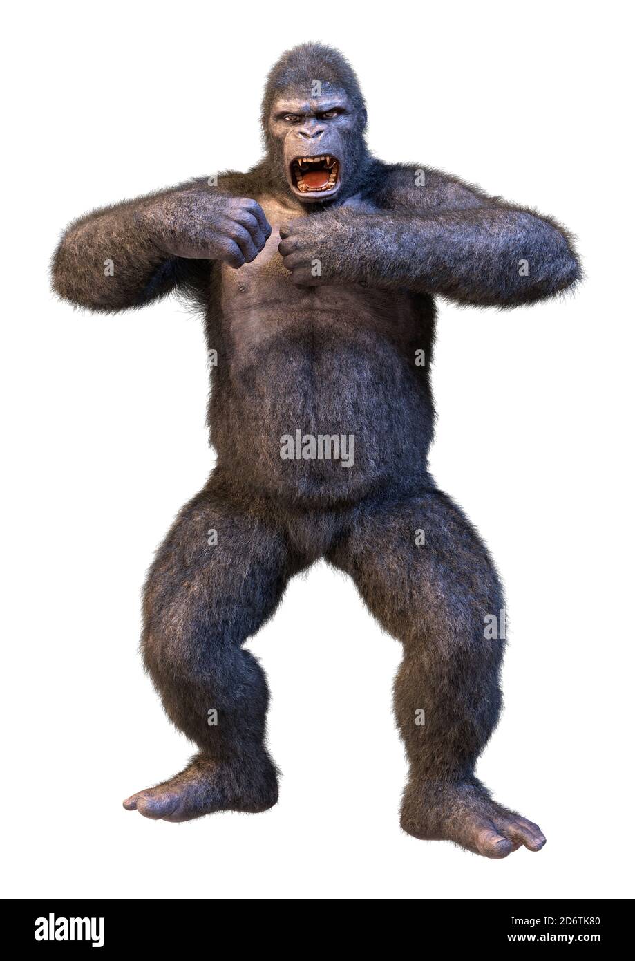 3D rendering of a gorilla ape isolated on white background Stock Photo