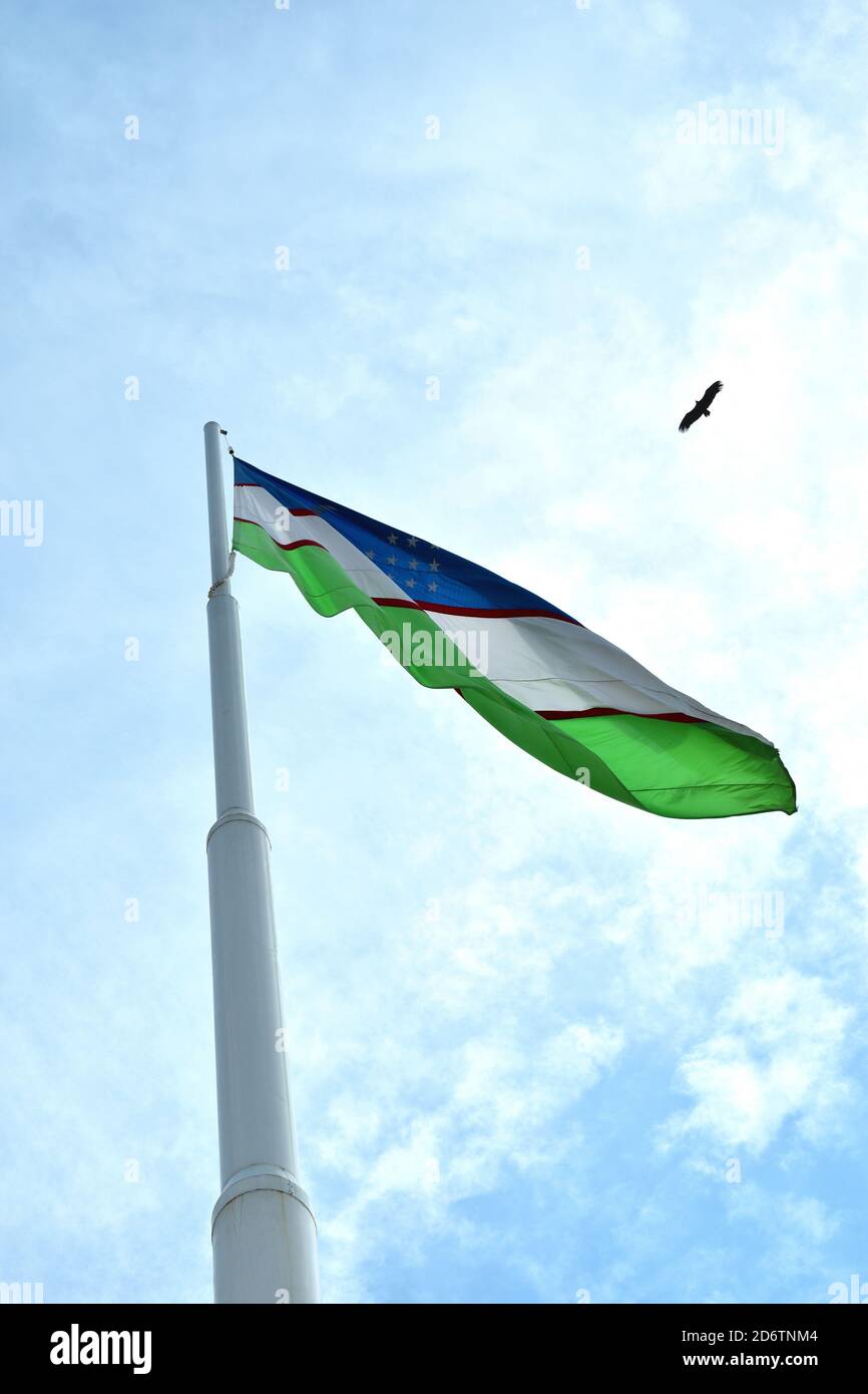 Uzbekistan flag and a soaring eagle in the sky Stock Photo