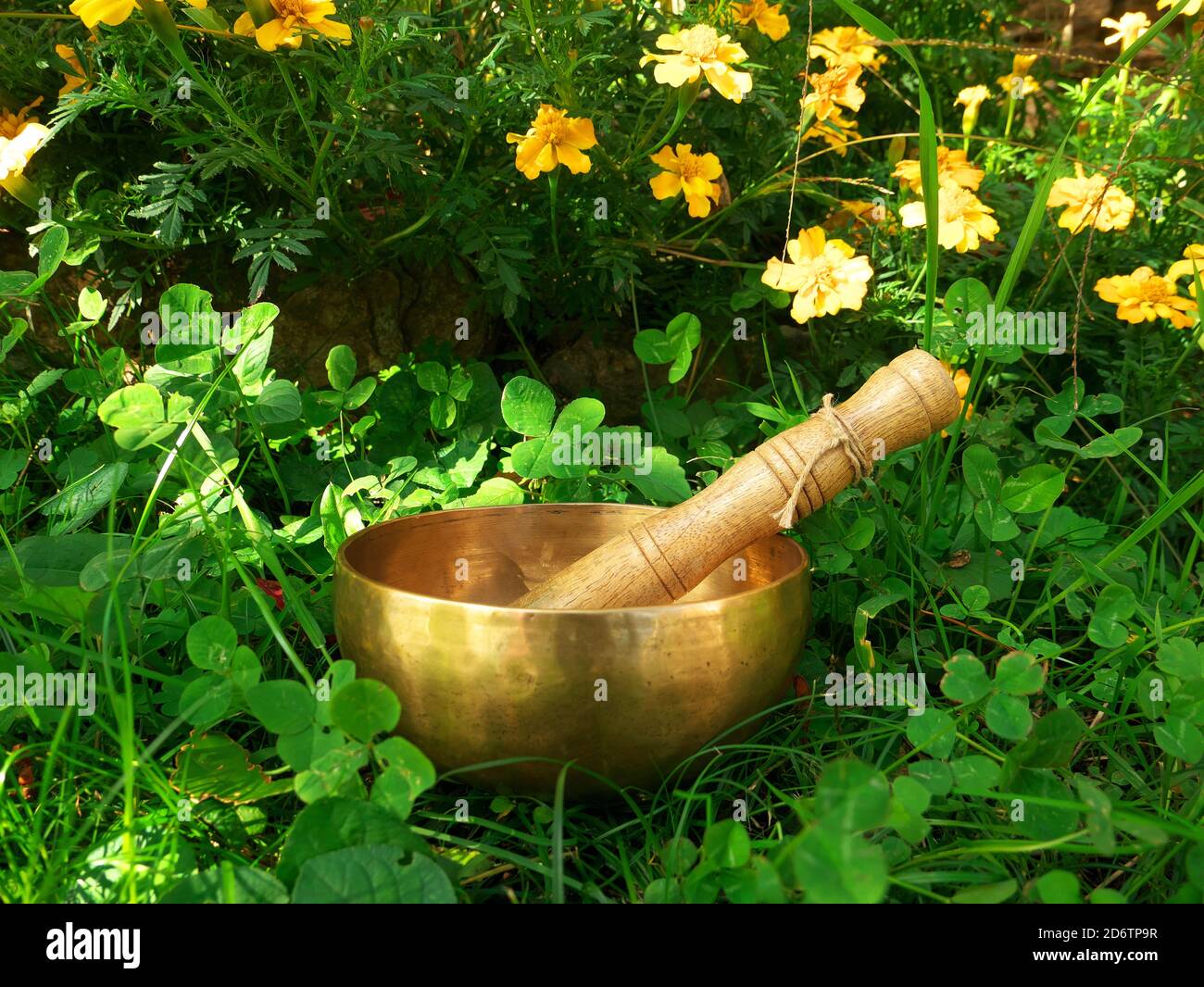 Singing bowl placed in the grass with yellow flowers in background Stock Photo