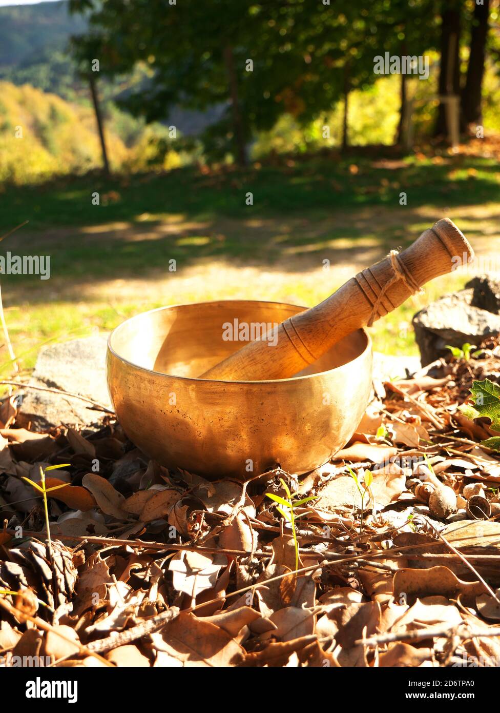Singing bowl placed on autumn leaves with the forest in the background, during the sunset. Stock Photo