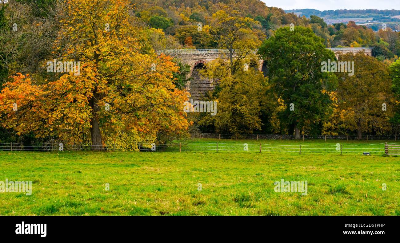 Lothianbridge or Newbattle Viaduct, Borders Railway, Midlothian, Scotland, United Kingdom, 19th October 2020. UK Weather: Autumn colour brightens up the trees despite a cloudy day at the Victorian viaduct Stock Photo