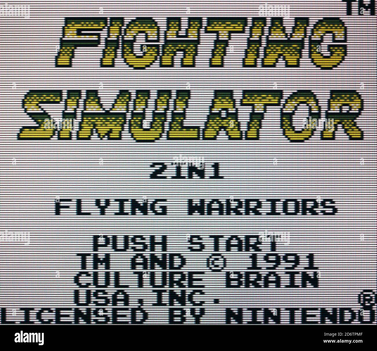Fighting Simulator - Nintendo Gameboy Videogame - Editorial use only Stock Photo