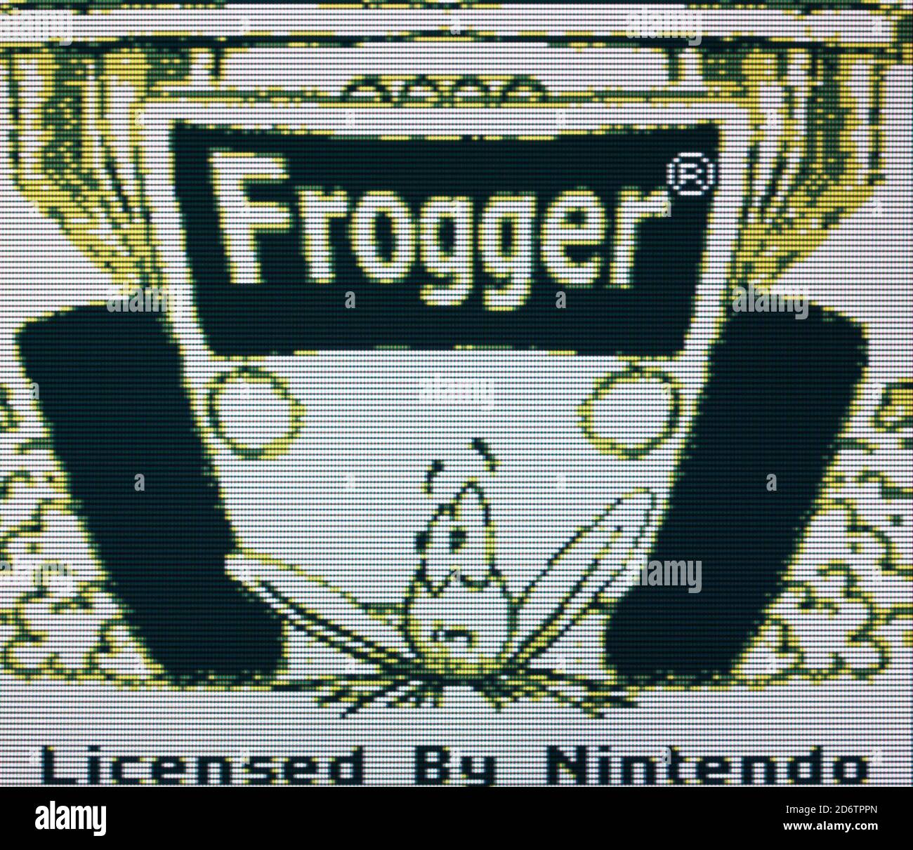 Frogger Nintendo Gameboy Videogame Editorial use only Stock Photo