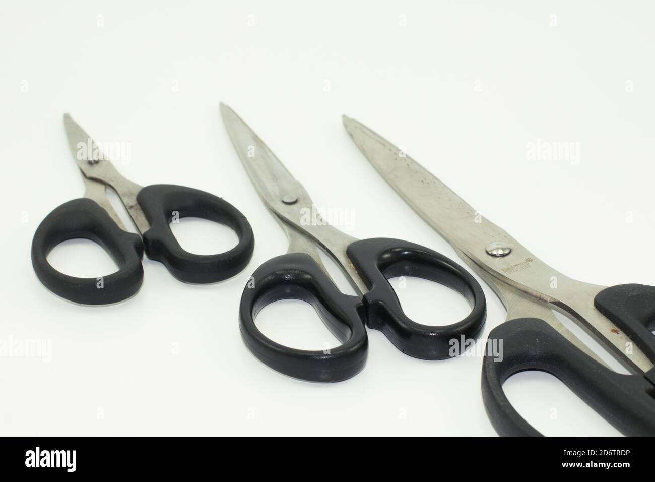 The Scissors Family gathered into formation Stock Photo - Alamy