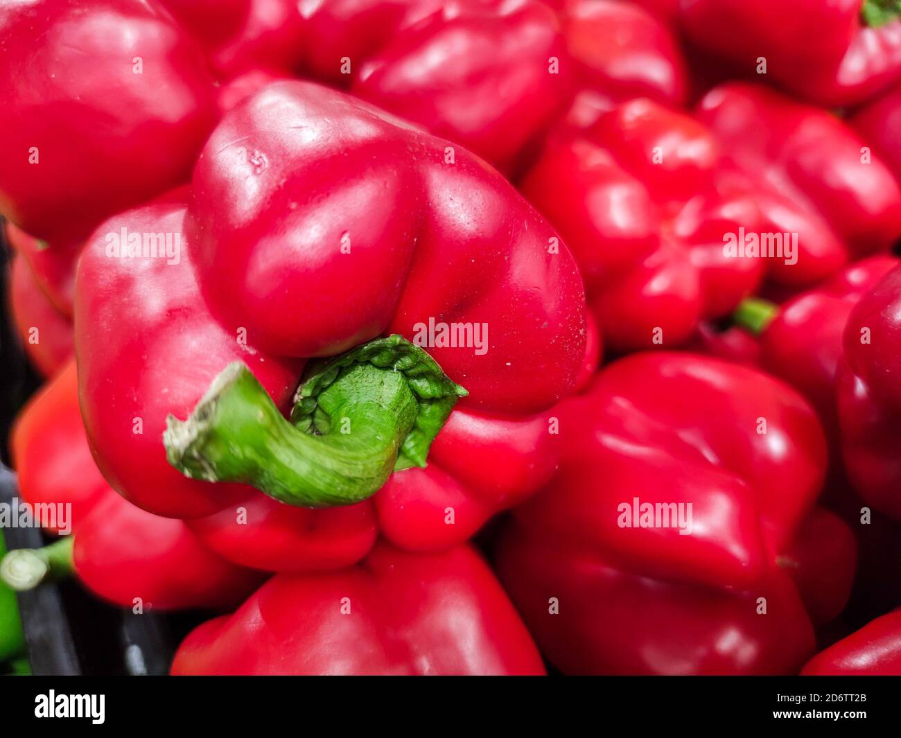 Bell peppers harvest hi-res stock photography and images - Alamy