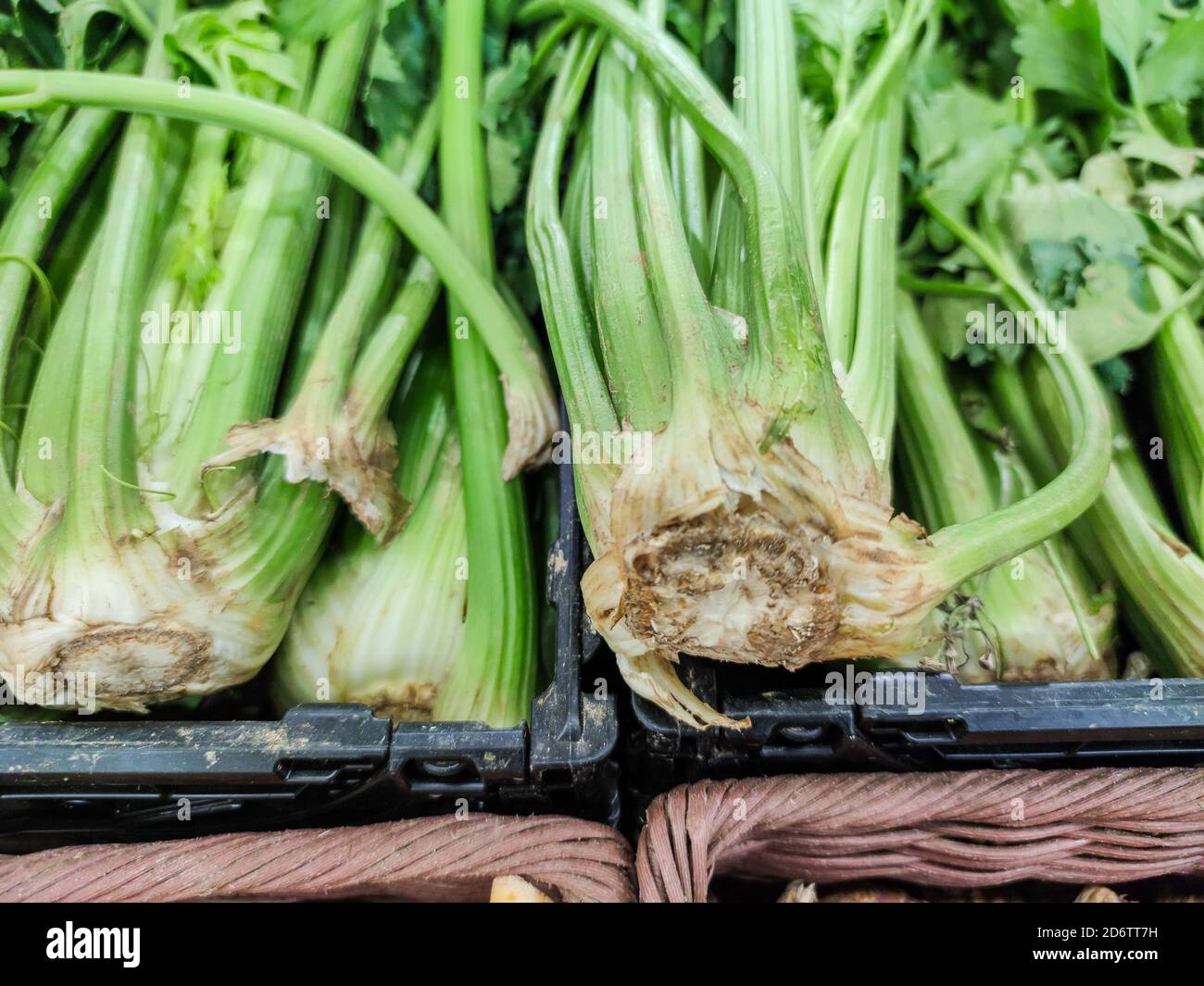 Selected focus on Group of celery branches sold on a market Stock Photo ...