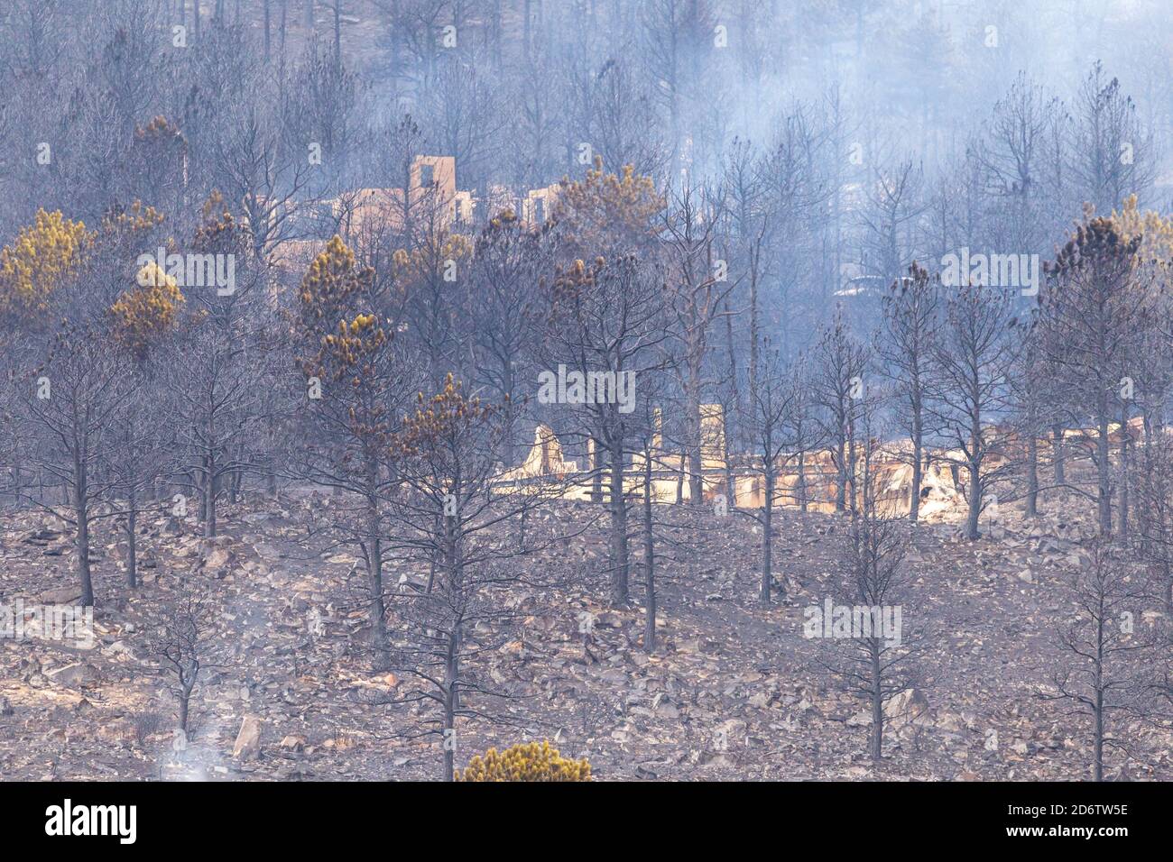 Houses burned to the ground and destroyed after a wildfire burned through the night before in Colorado Stock Photo