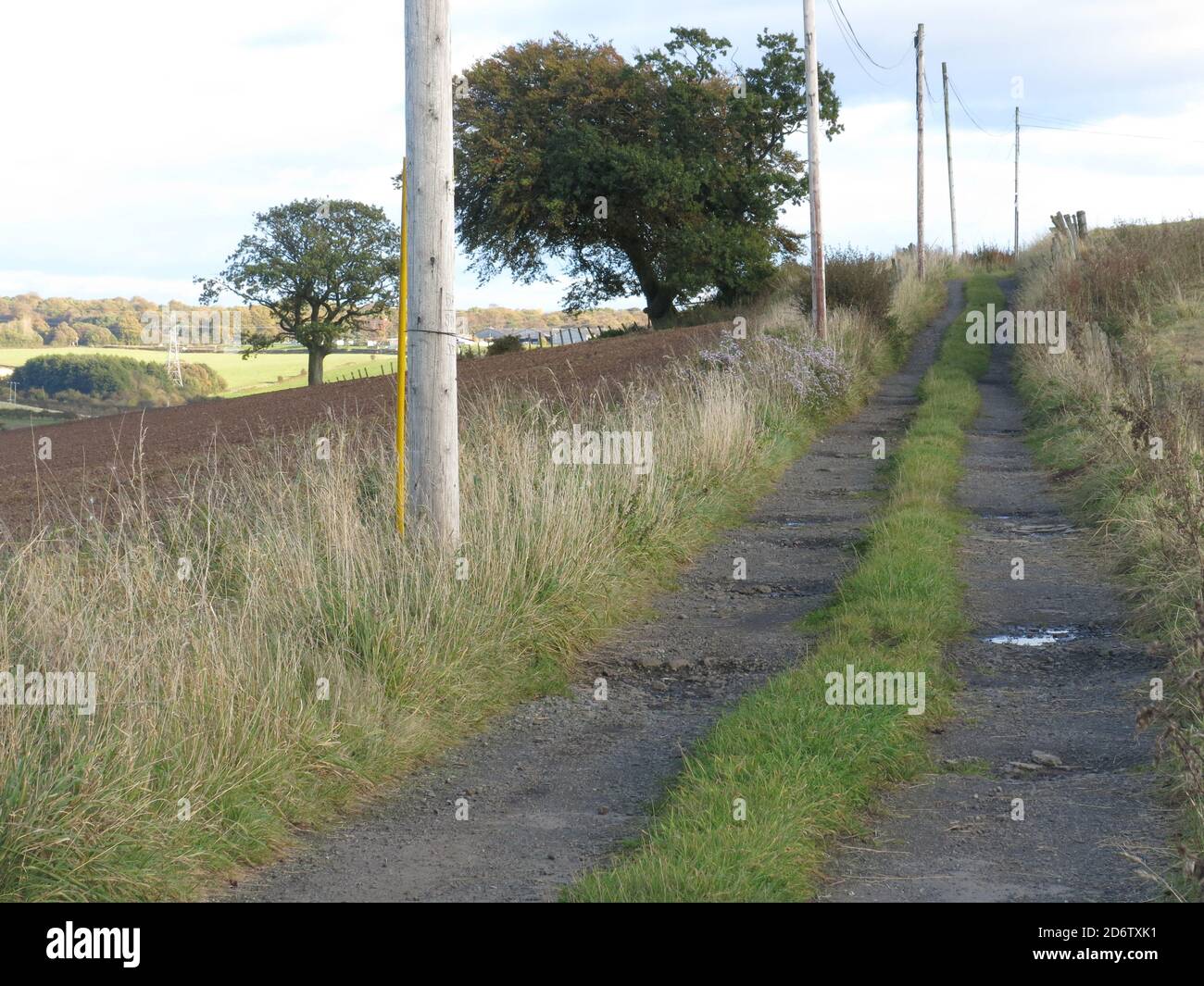 A farmyard track leads slightly uphill on a sunny afternoon in early autumn; the countryside of Scotland's Central Belt just north of Glasgow. Stock Photo
