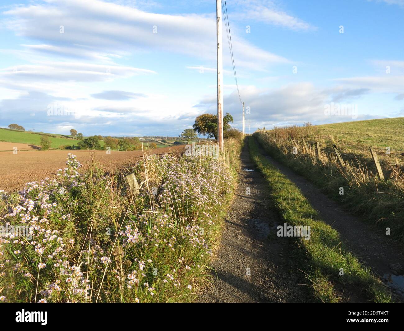 A farmyard track leads slightly uphill on a sunny afternoon in early autumn; the countryside of Scotland's Central Belt just north of Glasgow. Stock Photo